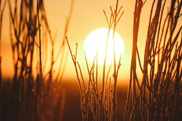 Zomerse hitte en batterijen: meer brandgevaar?